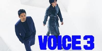 voice 3 city of accomplices|Voice 3: City of Accomplices (2019).